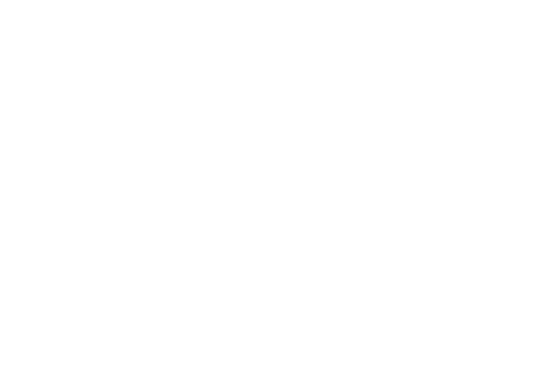 LFW-Logo